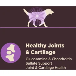 Wellness CORE Digestive Health Age Advantage Senior Chicken & Brown Rice Dry Dog Food -Pawsphoria Sales Store 347656 PT6. AC SS1800 V1638467491