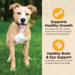 Wellness CORE Digestive Health Puppy Chicken & Brown Rice Dry Dog Food -Pawsphoria Sales Store 347659 PT4. AC SS1800 V1638467011