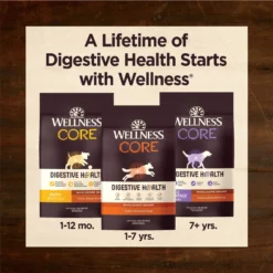 Wellness CORE Digestive Health Puppy Chicken & Brown Rice Dry Dog Food -Pawsphoria Sales Store 347659 PT6. AC SS1800 V1638465855