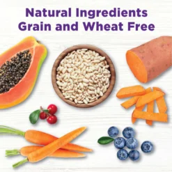 Wellness Bowl Boosters Plant Based Immunity Health Dog Food Topper, 4-oz Bag -Pawsphoria Sales Store 347665 PT4. AC SS1800 V1703709257