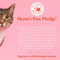 Skout's Honor Severe Mess Solution Cat Stain & Odor Cleaner, 35-oz Bottle -Pawsphoria Sales Store 348169 PT6. AC SS1800 V1658190299