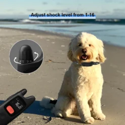 PATPET P682 Lightweight 1000-ft Remote Dog Training Collar, Black, Small -Pawsphoria Sales Store 352956 PT3. AC SS1800 V1639435310