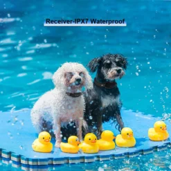 PATPET P682 Lightweight 1000-ft Remote Dog Training Collar, Black, Small -Pawsphoria Sales Store 352956 PT5. AC SS1800 V1639437143