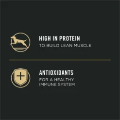 Purina Pro Plan Sport Puppy High Protein Chicken & Rice Wet Dog Food, 13-oz Can, Case Of 12 -Pawsphoria Sales Store 352974 PT3. AC SS1800 V1638474988