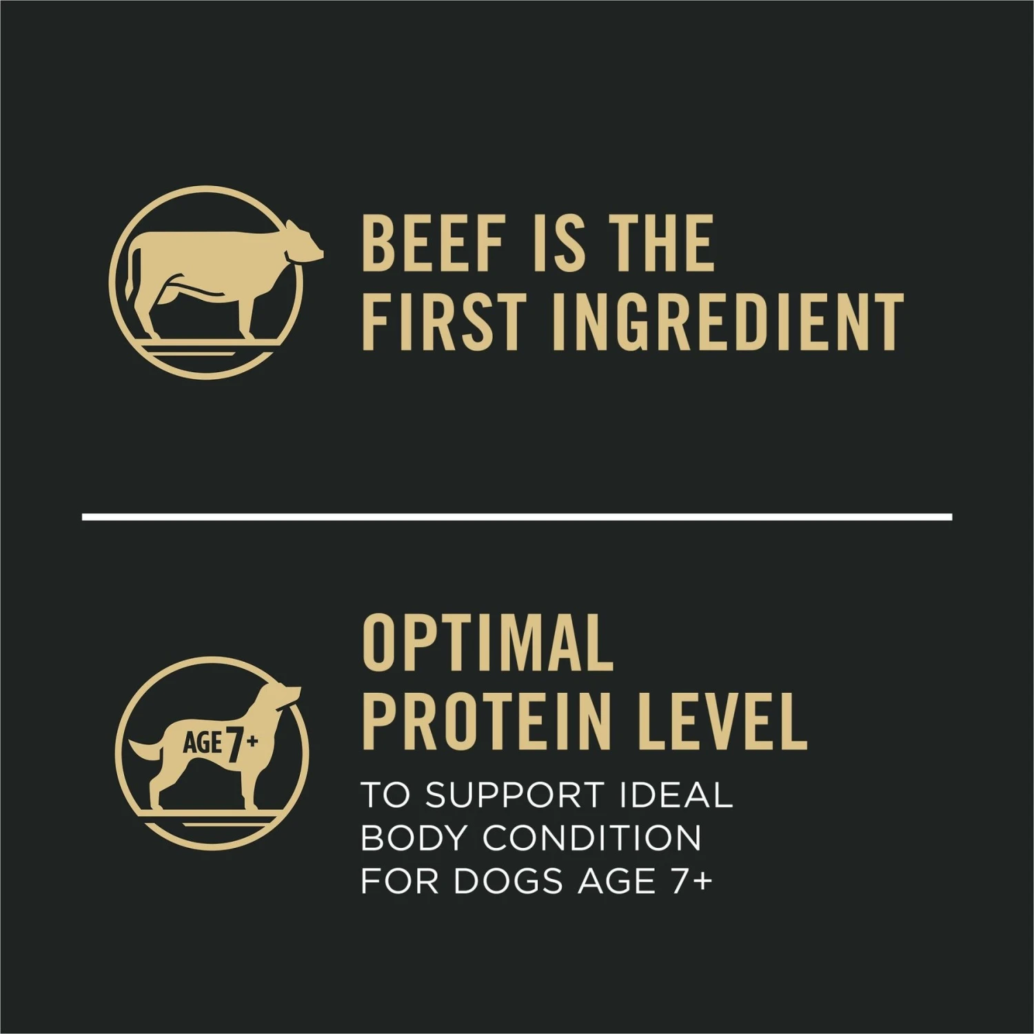 Purina Pro Plan 7+ Complete Essentials Shredded Blend Beef & Rice Formula High Protein Dog Food 7 Purina Pro Plan 7+ Complete Essentials Shredded Blend Beef & Rice Formula High Protein Dog Food - Image 7