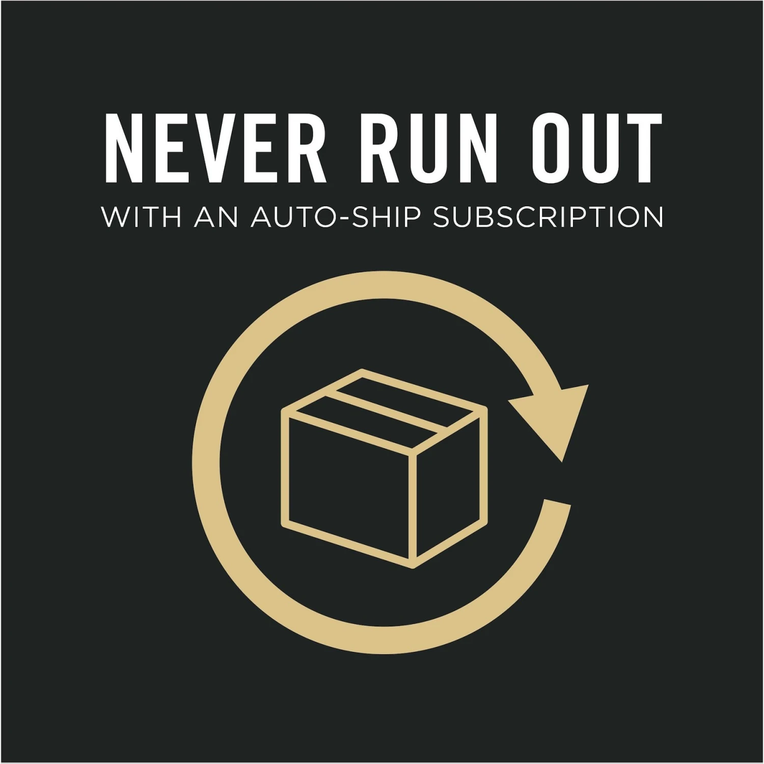 Purina Pro Plan 7+ Complete Essentials Shredded Blend Beef & Rice Formula High Protein Dog Food 9 Purina Pro Plan 7+ Complete Essentials Shredded Blend Beef & Rice Formula High Protein Dog Food - Image 9