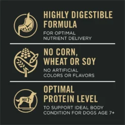 Purina Pro Plan Sensitive Skin & Stomach 7+ Salmon & Rice Formula Dry Dog Food -Pawsphoria Sales Store 352987 PT7. AC SS1800 V1700689659