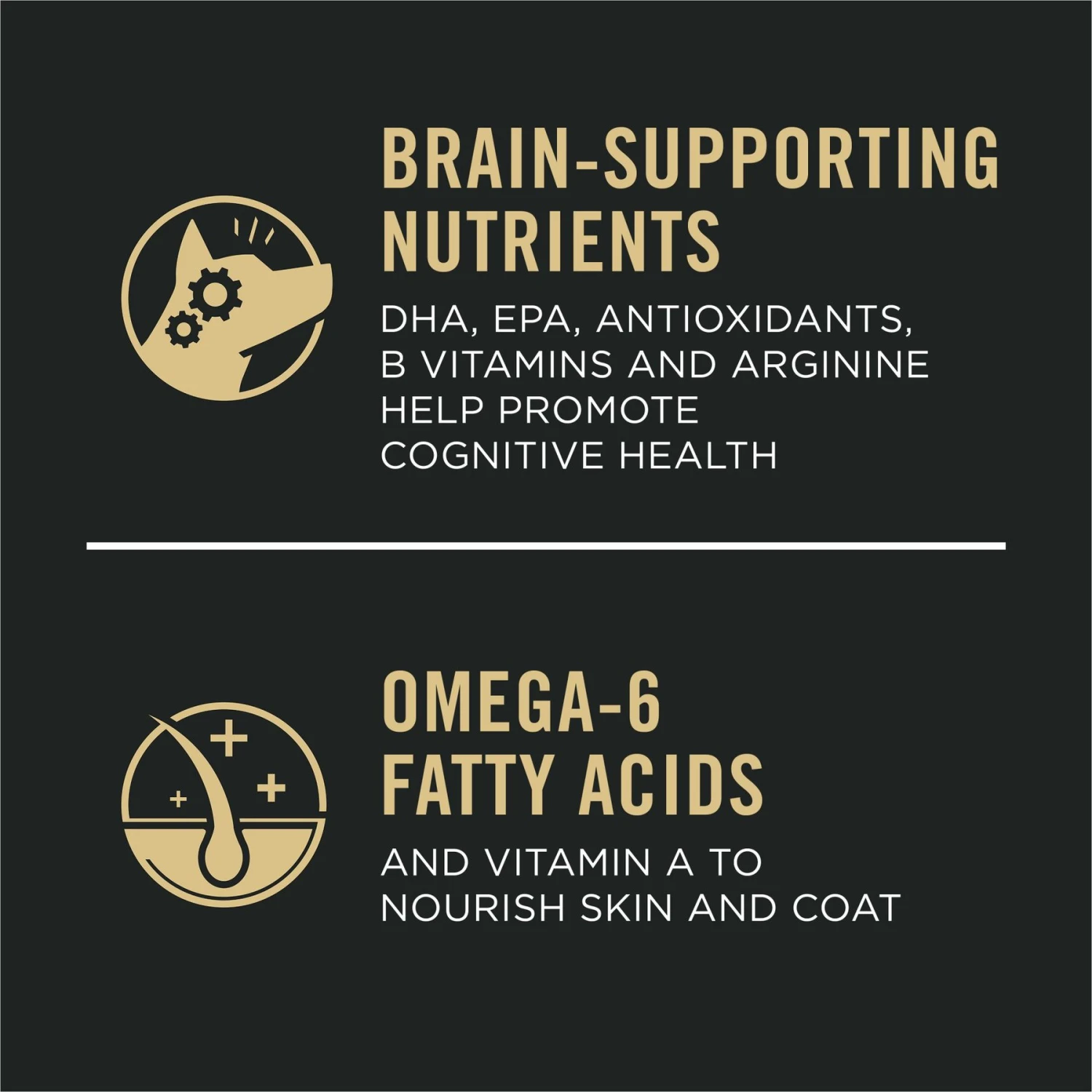 Purina Pro Plan Sport Performance Senior High-Protein 30/17 Chicken & Rice Formula Dog Food 5 Purina Pro Plan Sport Performance Senior High-Protein 30/17 Chicken & Rice Formula Dog Food - Image 5