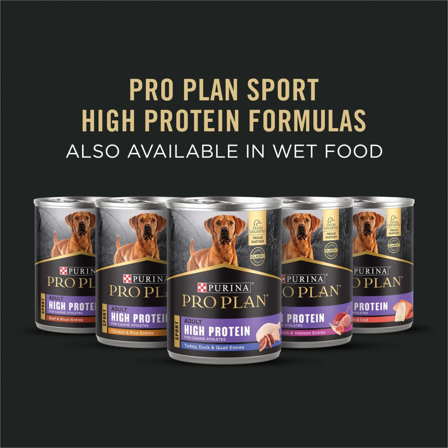 Purina Pro Plan Sport Performance Senior High-Protein 30/17 Chicken & Rice Formula Dog Food 7 Purina Pro Plan Sport Performance Senior High-Protein 30/17 Chicken & Rice Formula Dog Food - Image 7