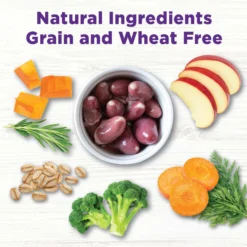 Wellness CORE Digestive Health Wholesome Grains Chicken & Brown Rice Recipe Dry Dog Food & Wellness CORE Bowl Boosters Digestive Health Dry Dog Food Topper, 4-oz Bag -Pawsphoria Sales Store 353436 PT4. AC SS1800 V1703195468