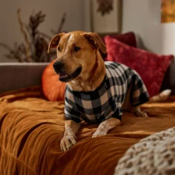 Frisco Plaid Dog & Cat Fleece Pajamas -Pawsphoria Sales Store 353755 PT6. AC SS1800 V1660749967