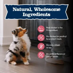 Blue Buffalo Baby Blue Small Breed Healthy Growth Formula Natural Chicken & Oatmeal Rice Recipe Puppy Dry Food, 4-lb Bag -Pawsphoria Sales Store 354134 PT5. AC SS1800 V1646088416