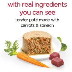 Purina Beneful Infused Pate With Real Beef, Carrots & Spinach Wet Dog Food -Pawsphoria Sales Store 354325 PT2. AC SS1800 V1639503114