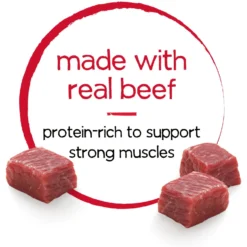 Purina Beneful Infused Pate With Real Beef, Carrots & Spinach Wet Dog Food -Pawsphoria Sales Store 354325 PT4. AC SS1800 V1639503157