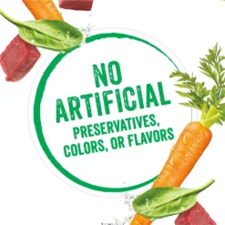 Purina Beneful Infused Pate With Real Beef, Carrots & Spinach Wet Dog Food -Pawsphoria Sales Store 354325 PT7. AC SS1800 V1639503129