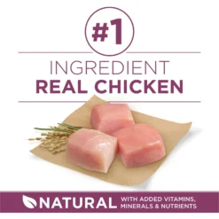 Purina ONE +Plus High Protein Healthy Puppy Formula Dry Puppy Food -Pawsphoria Sales Store 355892 PT3. AC SS1800 V1640227661