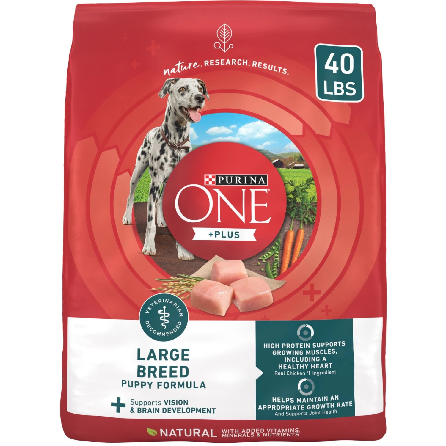 Purina ONE +Plus Natural Large Breed Formula Dry Puppy Food 1 Purina ONE +Plus Natural Large Breed Formula Dry Puppy Food