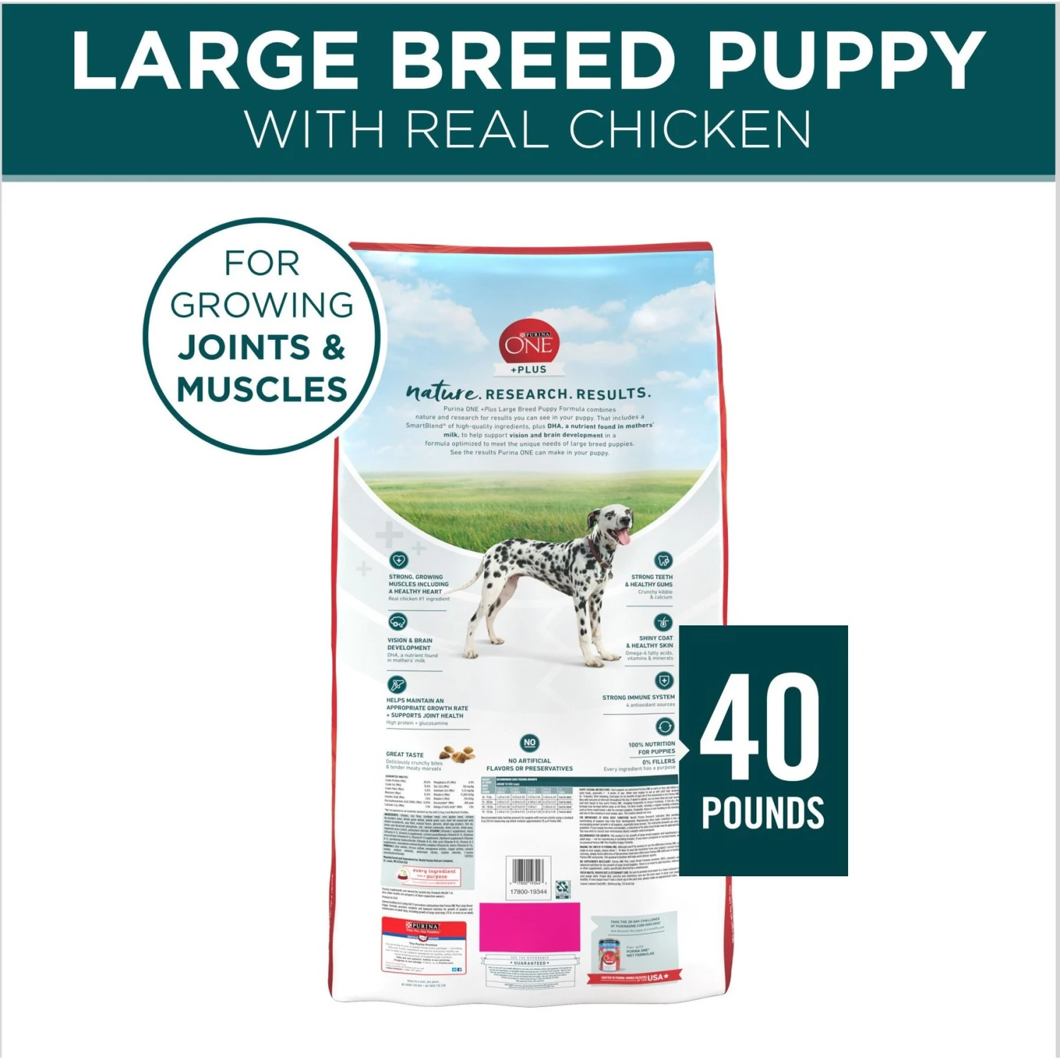Purina ONE +Plus Natural Large Breed Formula Dry Puppy Food 2 Purina ONE +Plus Natural Large Breed Formula Dry Puppy Food - Image 2