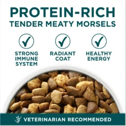 Purina ONE +Plus Natural Large Breed Formula Dry Puppy Food 11 Purina ONE +Plus Natural Large Breed Formula Dry Puppy Food -Pawsphoria Sales Store 355894 PT2. AC SS1800 V1676318636
