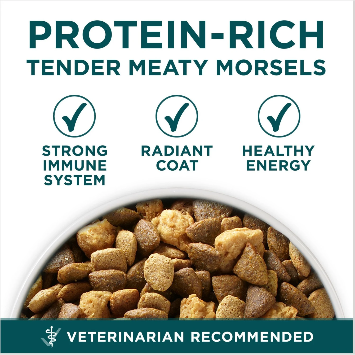 Purina ONE +Plus Natural Large Breed Formula Dry Puppy Food 3 Purina ONE +Plus Natural Large Breed Formula Dry Puppy Food - Image 3