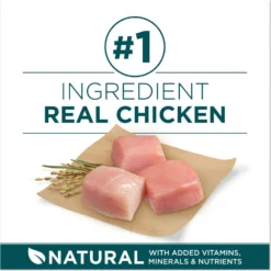 Purina ONE +Plus Natural Large Breed Formula Dry Puppy Food 12 Purina ONE +Plus Natural Large Breed Formula Dry Puppy Food -Pawsphoria Sales Store 355894 PT3. AC SS1800 V1676318664
