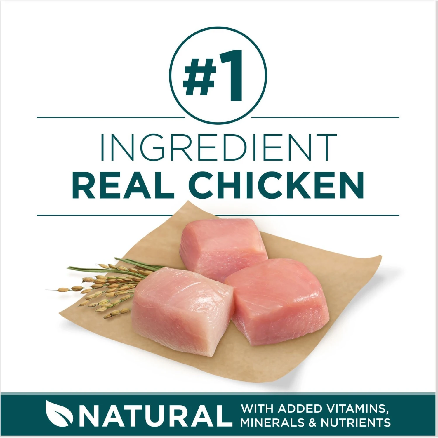 Purina ONE +Plus Natural Large Breed Formula Dry Puppy Food 4 Purina ONE +Plus Natural Large Breed Formula Dry Puppy Food - Image 4