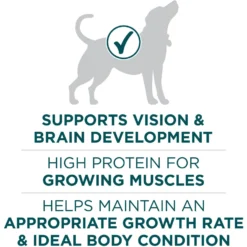 Purina ONE +Plus Natural Large Breed Formula Dry Puppy Food 13 Purina ONE +Plus Natural Large Breed Formula Dry Puppy Food -Pawsphoria Sales Store 355894 PT4. AC SS1800 V1676051535