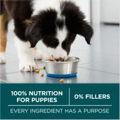 Purina ONE +Plus Natural Large Breed Formula Dry Puppy Food 15 Purina ONE +Plus Natural Large Breed Formula Dry Puppy Food -Pawsphoria Sales Store 355894 PT6. AC SS1800 V1676319357