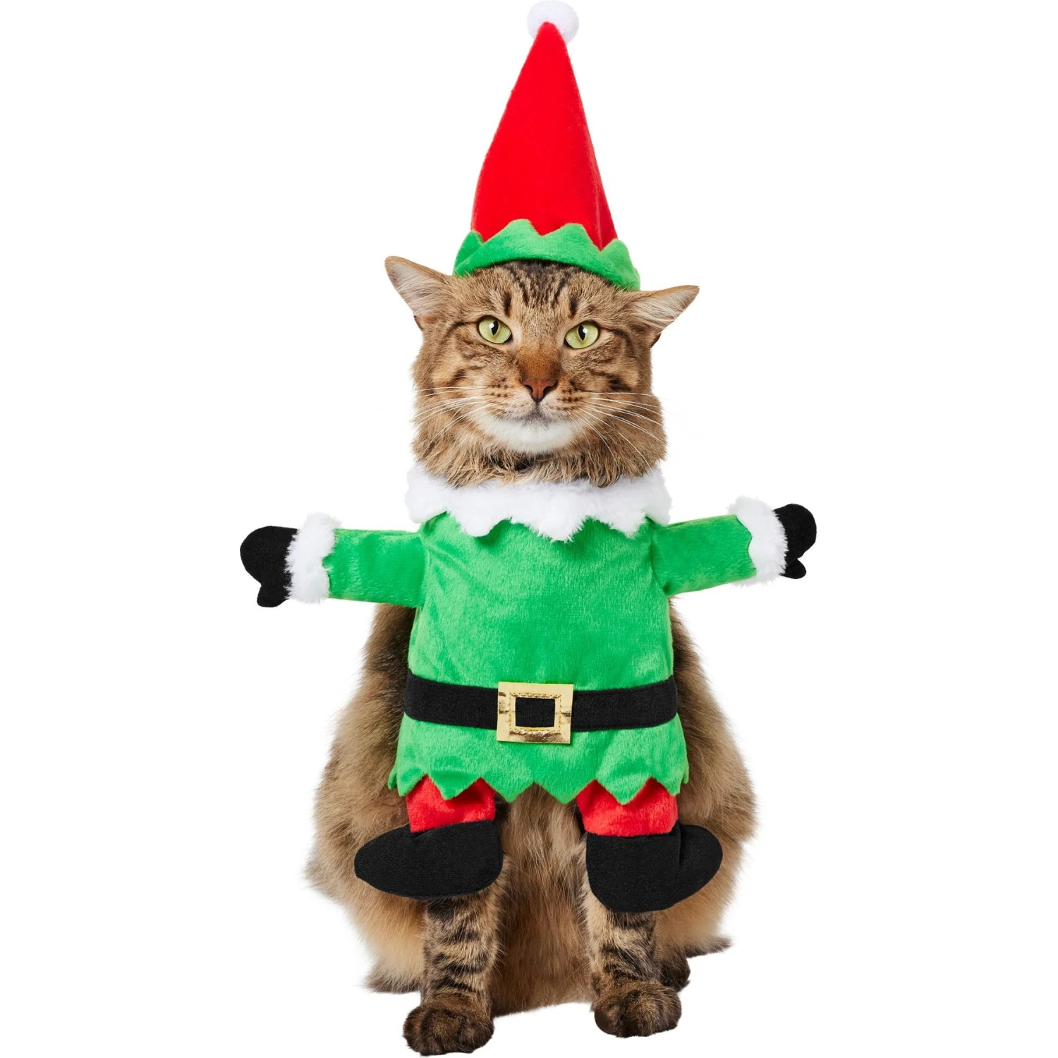 Frisco Front Walking Elf Dog & Cat Costume 1 Frisco Front Walking Elf Dog & Cat Costume