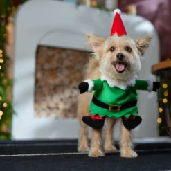 Frisco Front Walking Elf Dog & Cat Costume 16 Frisco Front Walking Elf Dog & Cat Costume -Pawsphoria Sales Store 357956 PT7. AC SS1800 V1661799329