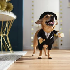 Frisco Front Walking New Years Tuxedo Dog & Cat Costume -Pawsphoria Sales Store 358028 PT7. AC SS1800 V1661799888