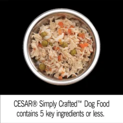 Cesar Simply Crafted Chicken Cuisine Complement Adult Wet Dog Food Topper, 1.3-oz Tubs, Case Of 24 11 Cesar Simply Crafted Chicken Cuisine Complement Adult Wet Dog Food Topper, 1.3-oz Tubs, Case Of 24 -Pawsphoria Sales Store 358219 PT3. AC SS1800 V1641508298