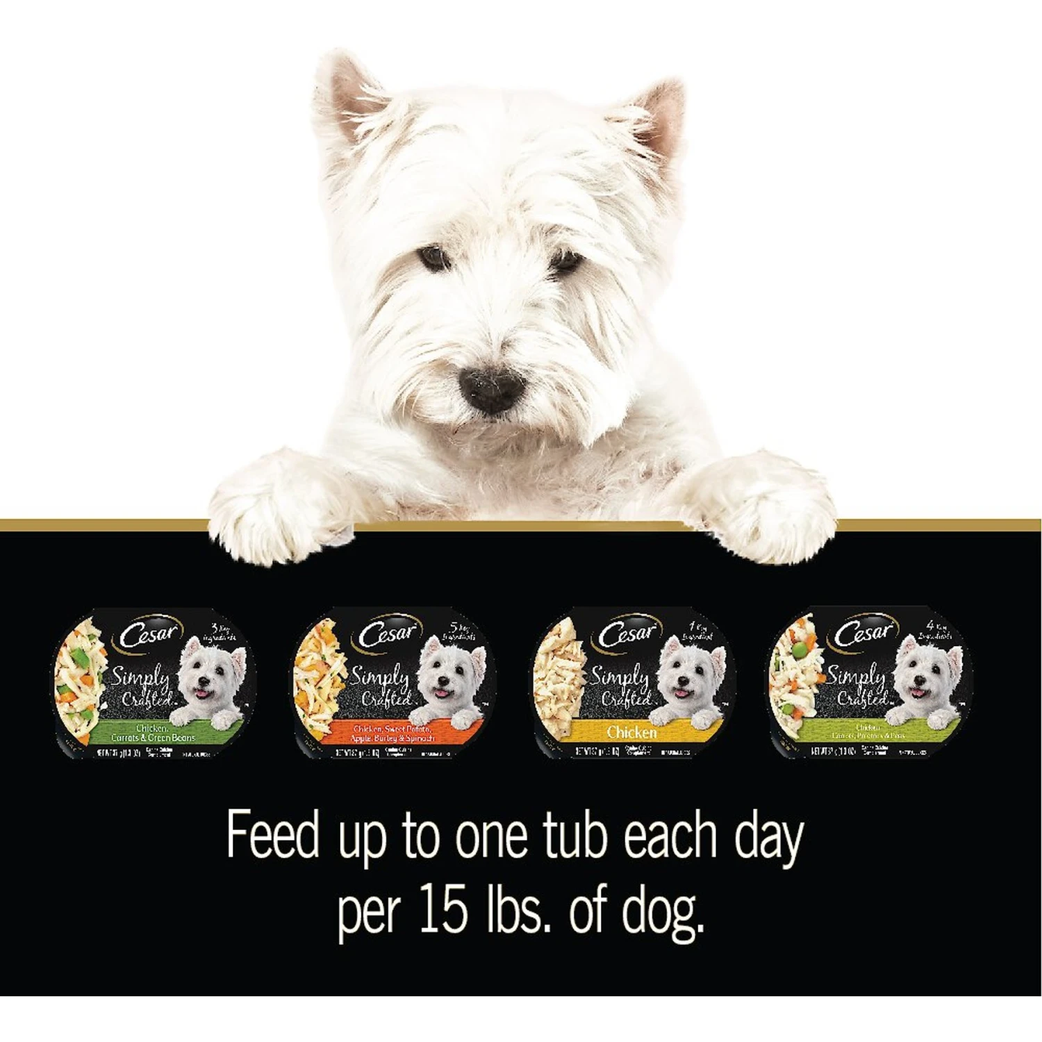 Cesar Wholesome Bowls Small Breed Adult Soft Wet Dog Food Variety Pack 8 Cesar Wholesome Bowls Small Breed Adult Soft Wet Dog Food Variety Pack - Image 8