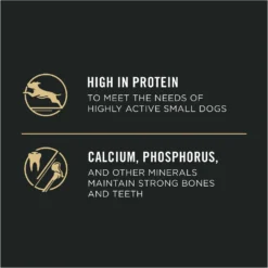 Purina Pro Plan Calm & Balanced Small Breed Chicken & Rice Formula Dog Dry Food -Pawsphoria Sales Store 361228 PT6. AC SS1800 V1649223117