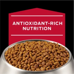 Purina Pro Plan Veterinary Diets CC CardioCare High Protein Chicken Flavor Dry Dog Food -Pawsphoria Sales Store 362191 PT8. AC SS1800 V1674676642