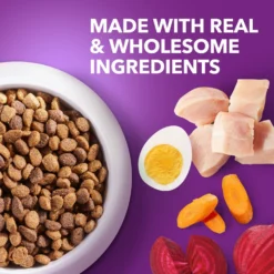 Iams Advanced Health Healthy Digestion With Probiotics Formula With Chicken & Whole Grain Adult Dry Dog Food -Pawsphoria Sales Store 362450 PT2. AC SS1800 V1668023594