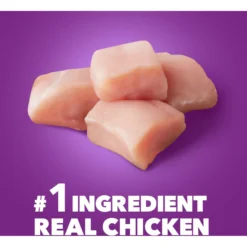 Iams Advanced Health Healthy Digestion With Probiotics Formula With Chicken & Whole Grain Adult Dry Dog Food -Pawsphoria Sales Store 362450 PT3. AC SS1800 V1667865237