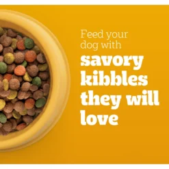 Pedigree Big Dogs Adult Complete Nutrition Large Breed Roasted Chicken Flavor Dry Dog Food -Pawsphoria Sales Store 362453 PT3. AC SS1800 V1643224026