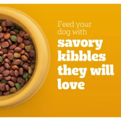 Pedigree Complete Nutrition Grilled Steak & Vegetable Flavor Dog Kibble Adult Dry Dog Food -Pawsphoria Sales Store 362455 PT3. AC SS1800 V1697638977