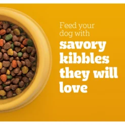 Pedigree Complete Nutrition Roasted Chicken, Rice & Vegetable Flavor Dog Kibble Adult Dry Dog Food -Pawsphoria Sales Store 362466 PT3. AC SS1800 V1668027396