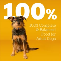 Pedigree Complete Nutrition Roasted Chicken, Rice & Vegetable Flavor Dog Kibble Adult Dry Dog Food -Pawsphoria Sales Store 362466 PT8. AC SS1800 V1668026553