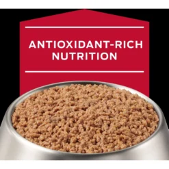 Purina Pro Plan Veterinary Diets CC Cardiocare Canine Formula Chicken Flavor Canned Dog Food, 13-oz, Case Of 12 -Pawsphoria Sales Store 362729 PT7. AC SS1800 V1700160211