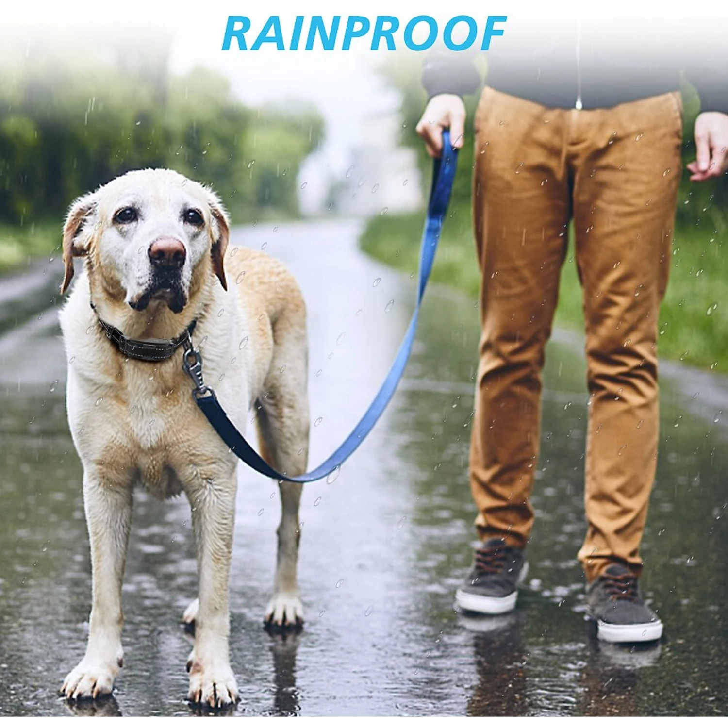 PATPET P303 1000ft Remote Dog Training Shock Collar 5 PATPET P303 1000ft Remote Dog Training Shock Collar - Image 5