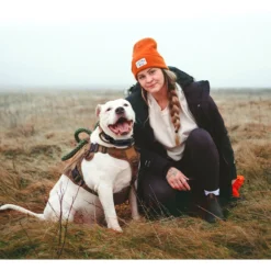 PATPET P303 1000ft Remote Dog Training Shock Collar 13 PATPET P303 1000ft Remote Dog Training Shock Collar -Pawsphoria Sales Store 363519 PT6. AC SS1800 V1644922016