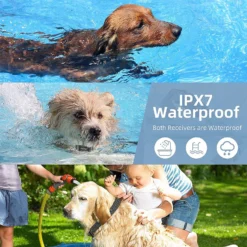 PATPET P690 300M Remote Dog Training Collar, Black -Pawsphoria Sales Store 363752 PT3. AC SS1800 V1657657334