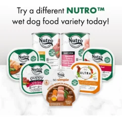 Nutro So Simple Meal Complement Chicken & Duck Recipe In Bone Broth Grain-Free Adult Wet Dog Food Topper -Pawsphoria Sales Store 363762 PT8. AC SS1800 V1702666009