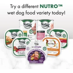 Nutro So Simple Meal Complement Chicken Recipe In Bone Broth Grain-Free Adult Wet Dog Food Topper -Pawsphoria Sales Store 363764 PT8. AC SS1800 V1702665996