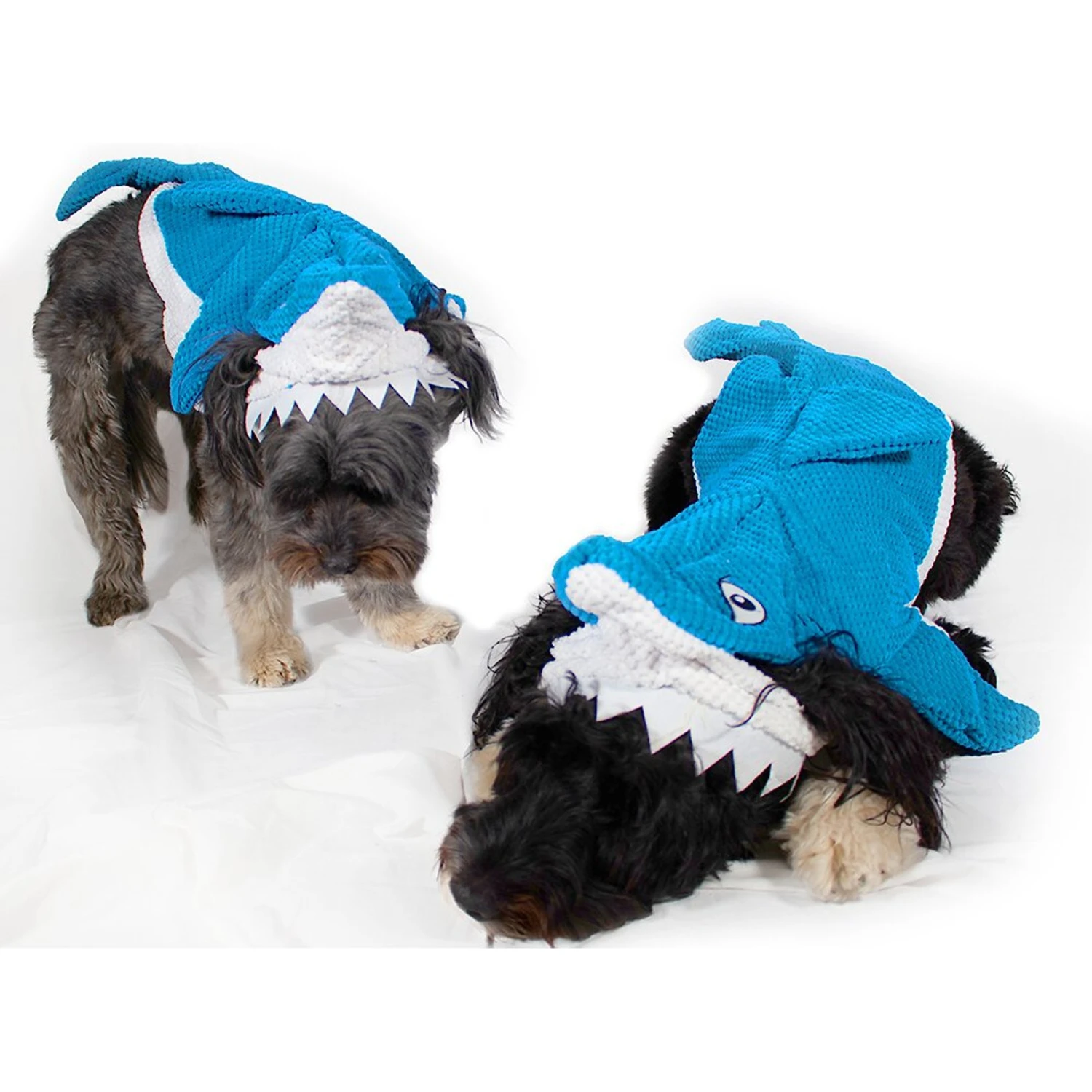 Royal Animals Shark Dog Costume 3 Royal Animals Shark Dog Costume - Image 3