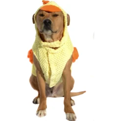 Royal Animals Chicken Dog Costume -Pawsphoria Sales Store 364474 PT2. AC SS1800 V1645643794