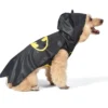Fetch For Pets DC Comics Batman Hooded Halloween Dog Costume